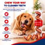 Spring Dog Chews Beef Pizzle (6-8 inch, 1pc) | Odor Free & High-Protein Long-Lasting Single Ingredient Beef Pizzle - Image 5