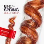 Spring Dog Chews Beef Pizzle (6-8 inch, 1pc) | Odor Free & High-Protein Long-Lasting Single Ingredient Beef Pizzle