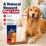 12 Inch Thin Odor Free Long-Lasting Dog Chews Single Ingredient Beef Pizzle