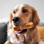 Dog Chews