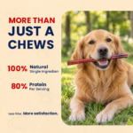 6" Jumbo Odor-Free Natural Beef Chew Sticks for Dogs - Image 10