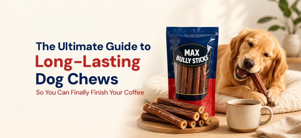 long lasting dow chews