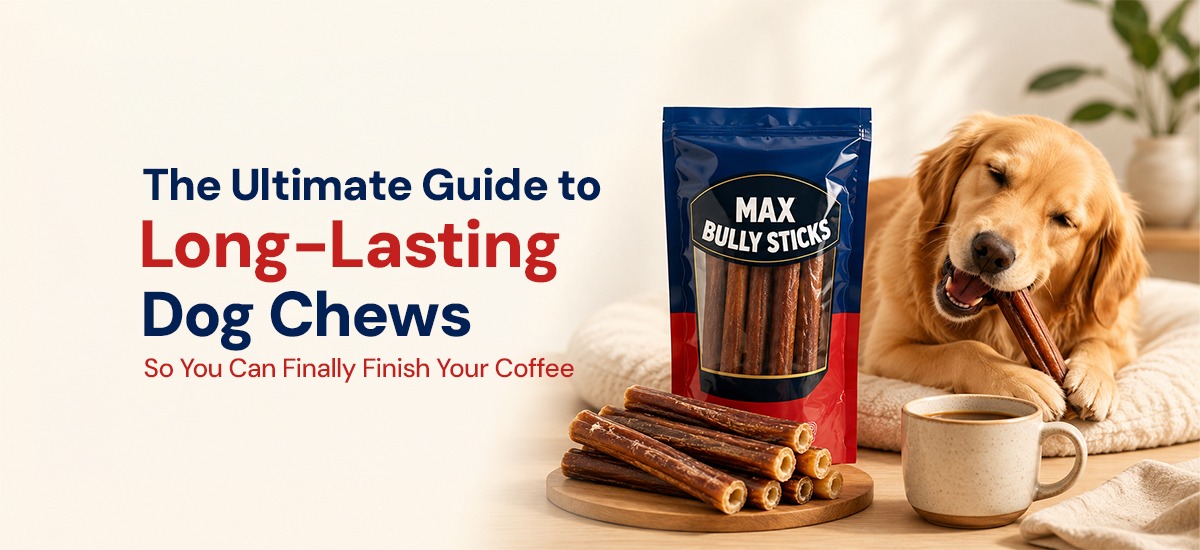 long lasting dow chews